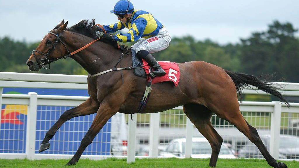 Tragedy at Goodwood: Trueshan's Demise Overshadows Scandinavia's Triumph in the Goodwood Cup