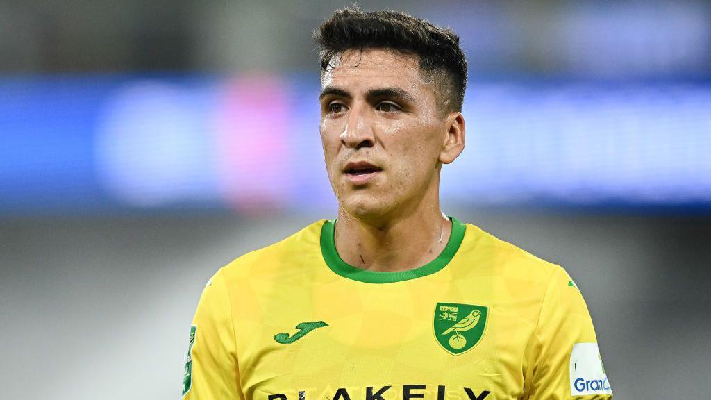 Shocking £10m Transfer: Marcelino Nunez Moves from Norwich to Ipswich