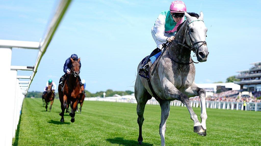 Field Of Gold Dominates Royal Ascot: A Spectacular St James's Palace Stakes Victory