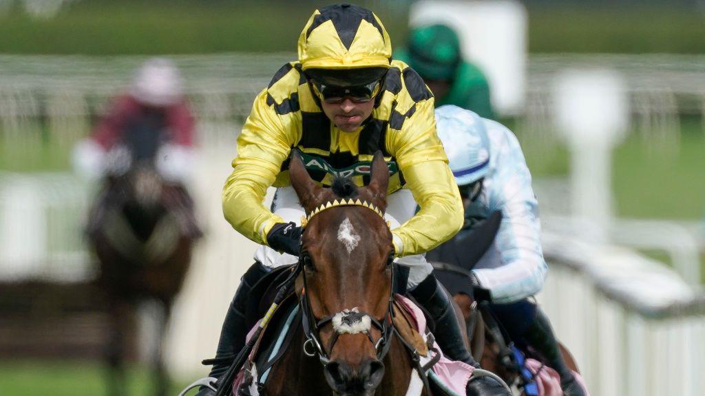 Sir Gino's Season Ends Early: Rising Star Hospitalized Ahead of Cheltenham Festival