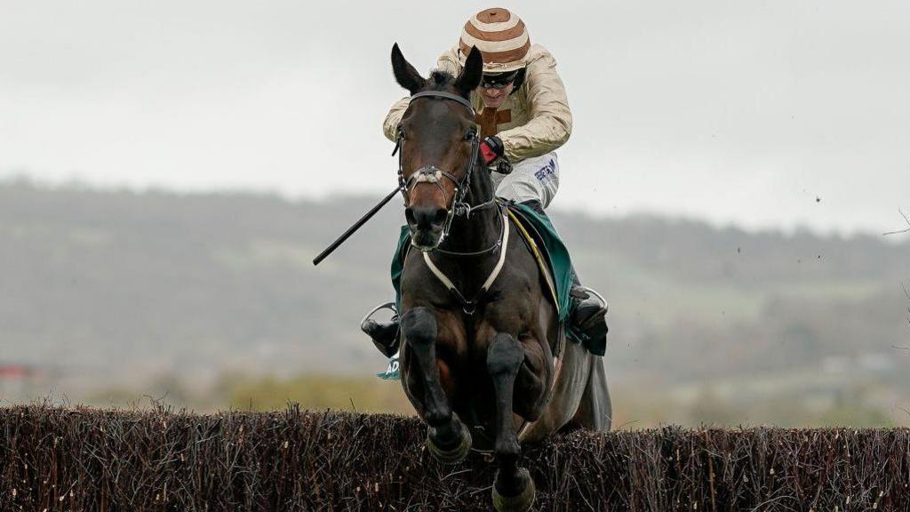 Broadway Boy's Grand National Fall and Recovery