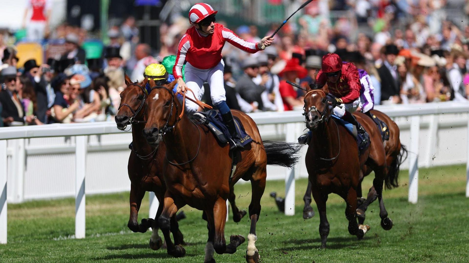 Royal Ascot 2024: George Scott and Callum Shepherd Aim for Glory