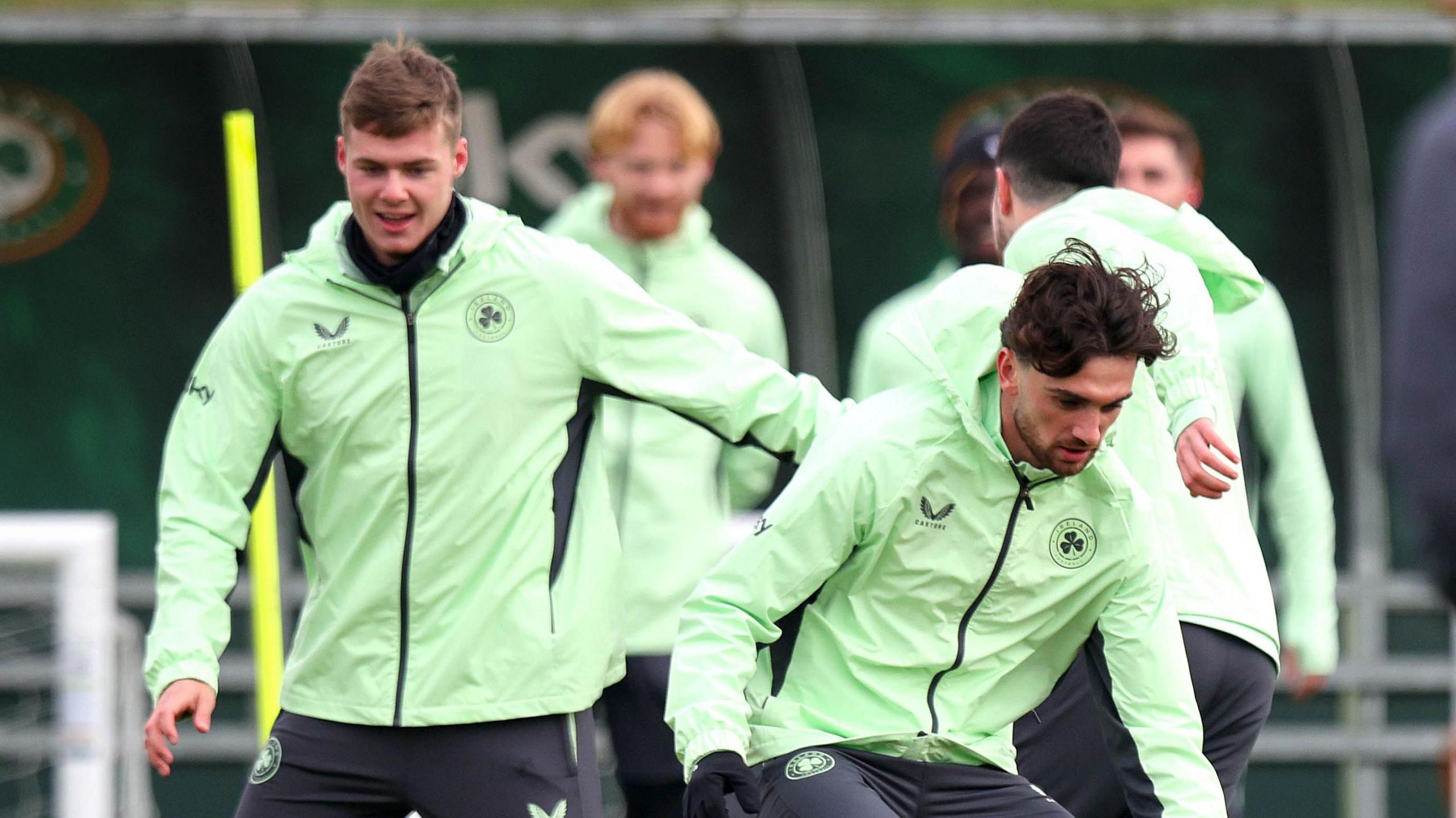 Republic of Ireland's World Cup Hopes Revived as Ferguson and Parrott Return to Fitness