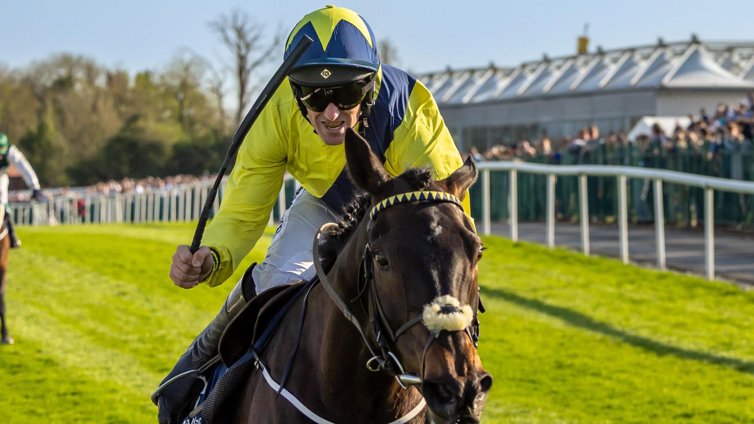 Marine Nationale Triumphs in Thrilling Punchestown Champion Chase