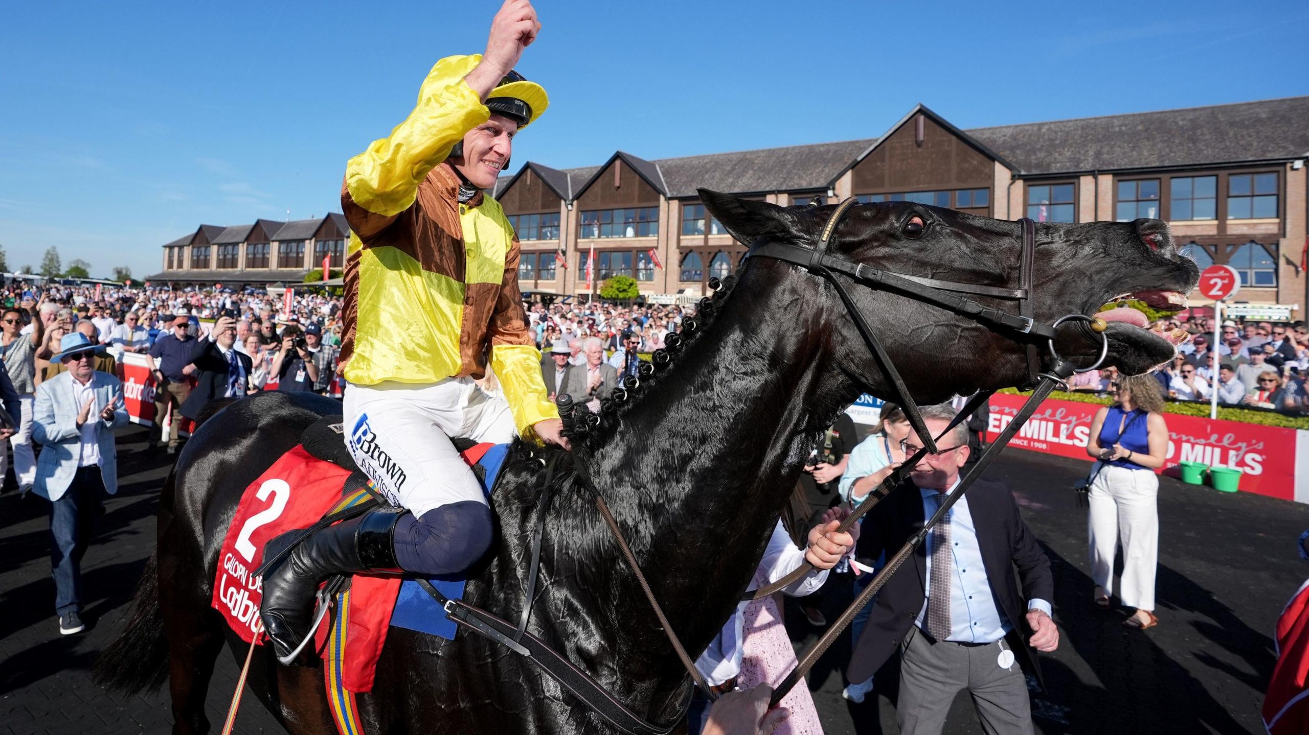 Galopin Des Champs Triumphs in Stunning Punchestown Gold Cup Victory