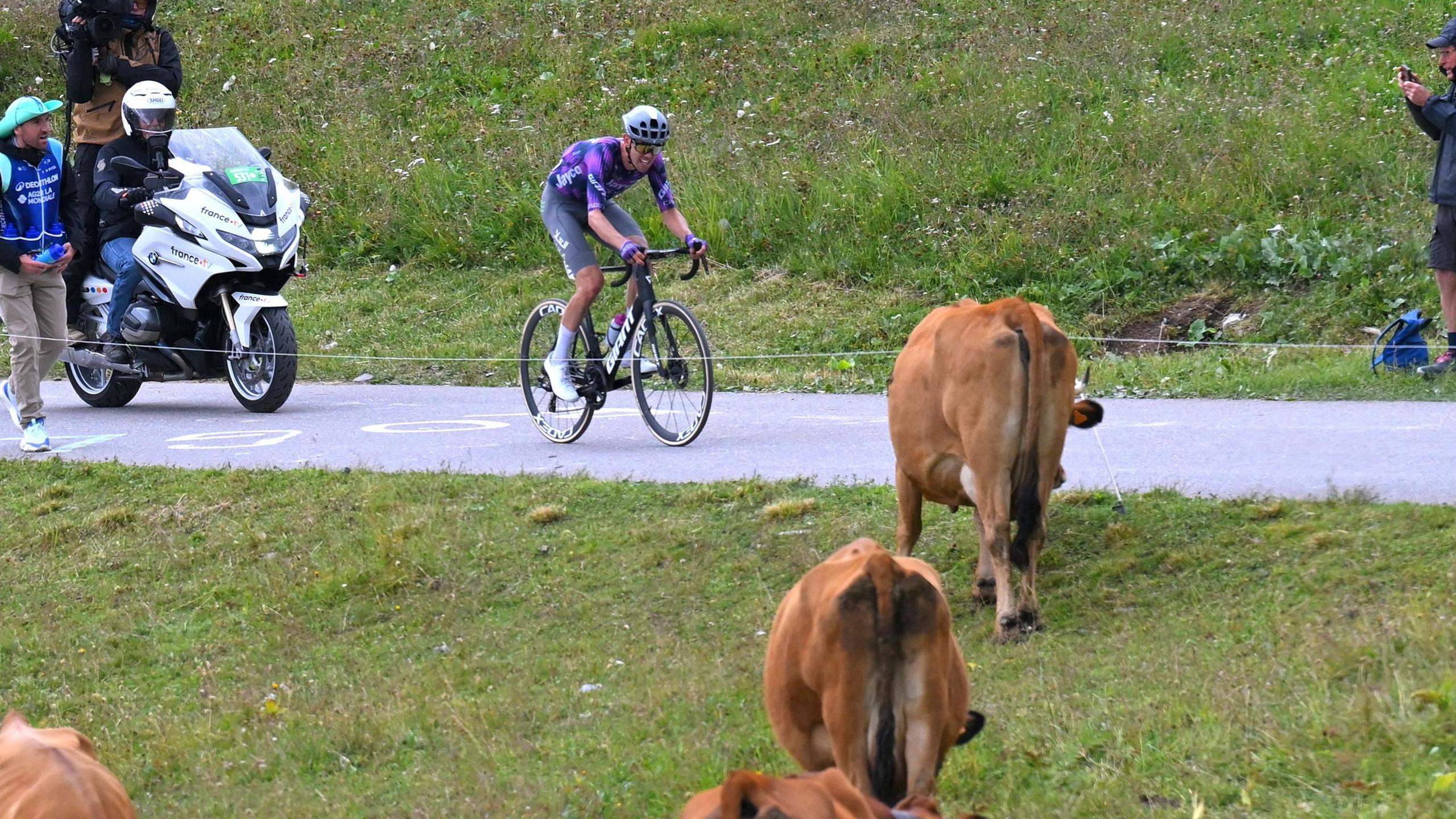 Tour de France 2025: Route Alteration Due to Diseased Cattle