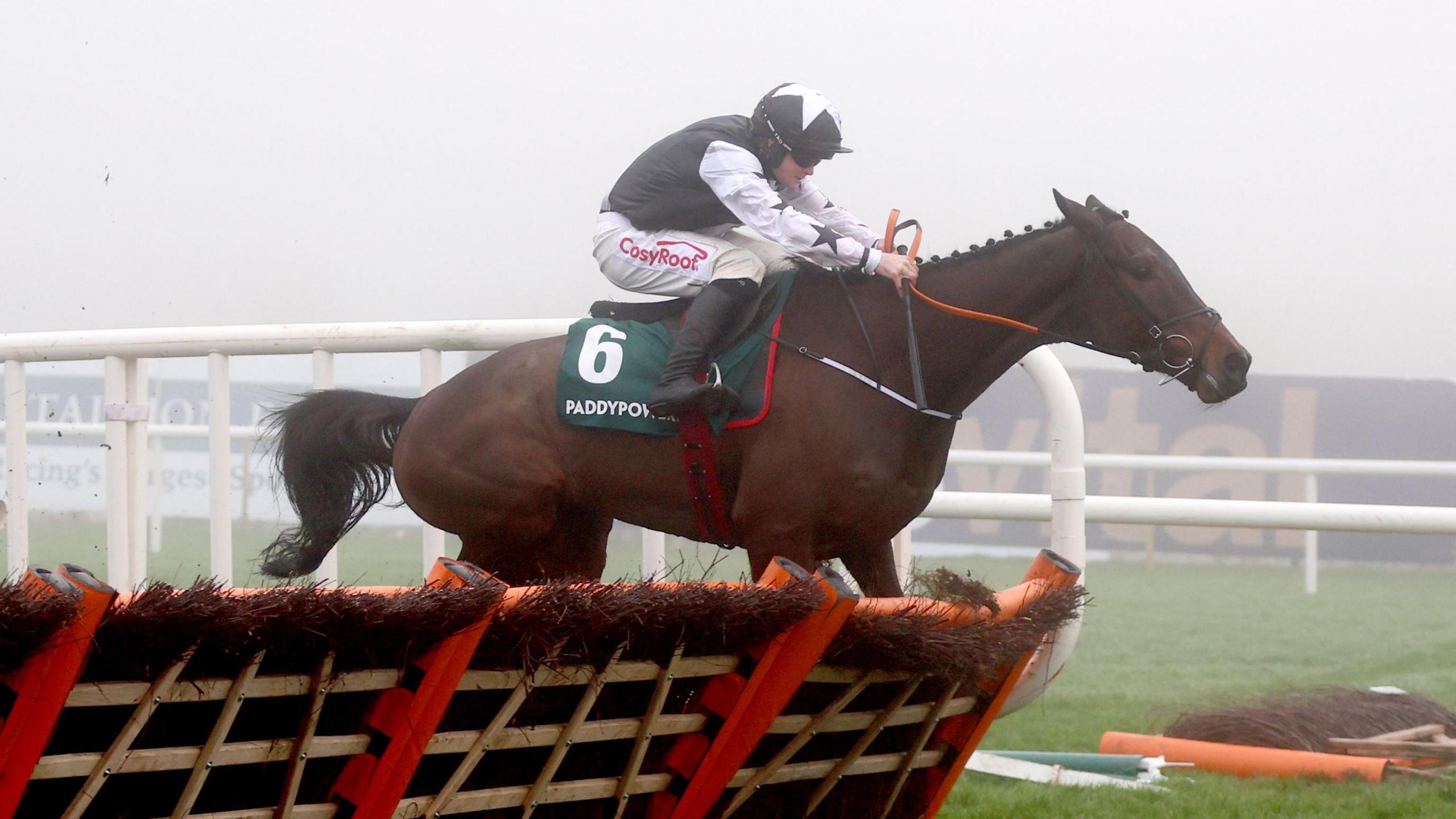 Romeo Coolio Dominates Leopardstown: Sam Ewing's Triumph in the Paddy Power Future Champions Novice Hurdle