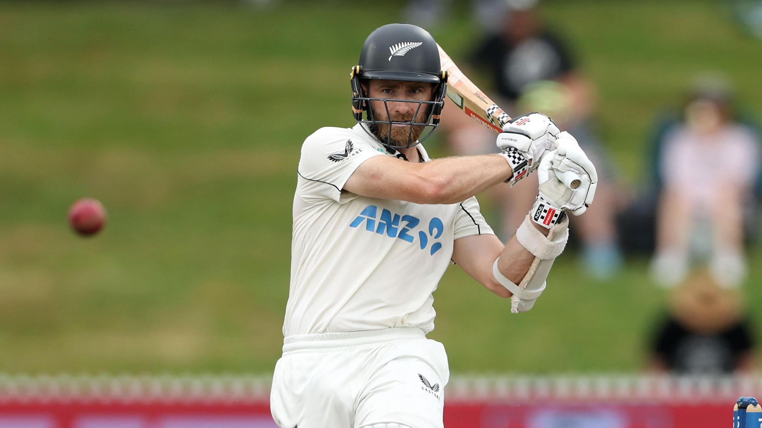 Middlesex Secures New Zealand Cricketing Icon Kane Williamson for 2025 Season