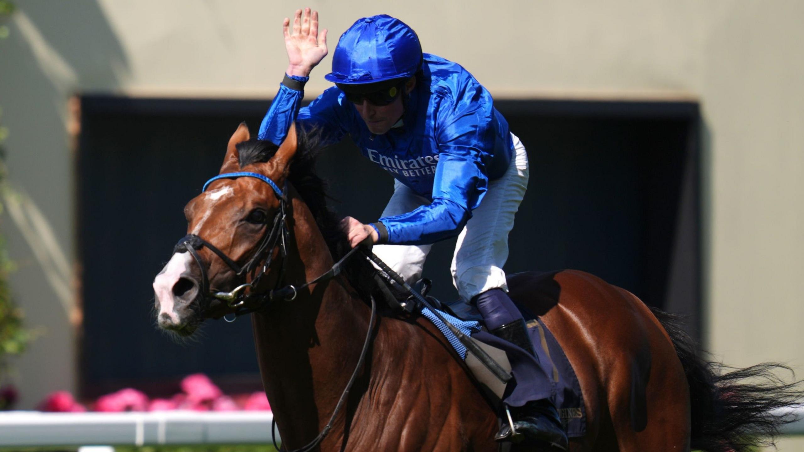 Royal Ascot 2025: Ombudsman Triumphs Amidst Tragedy as Harry's Girl Succumbs