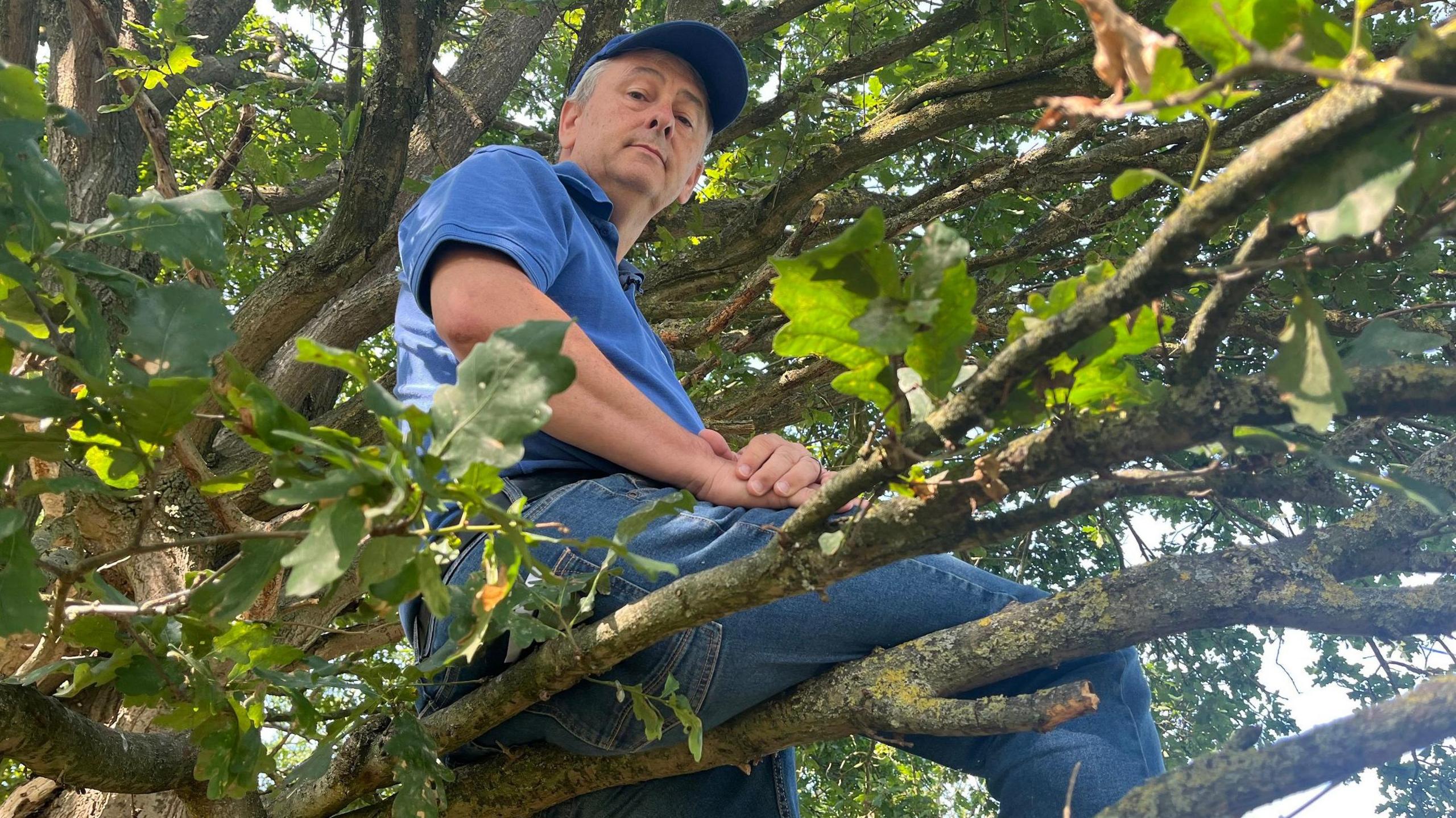 Loyal Fan Climbs Trees to Support Banned Non-League Football Team