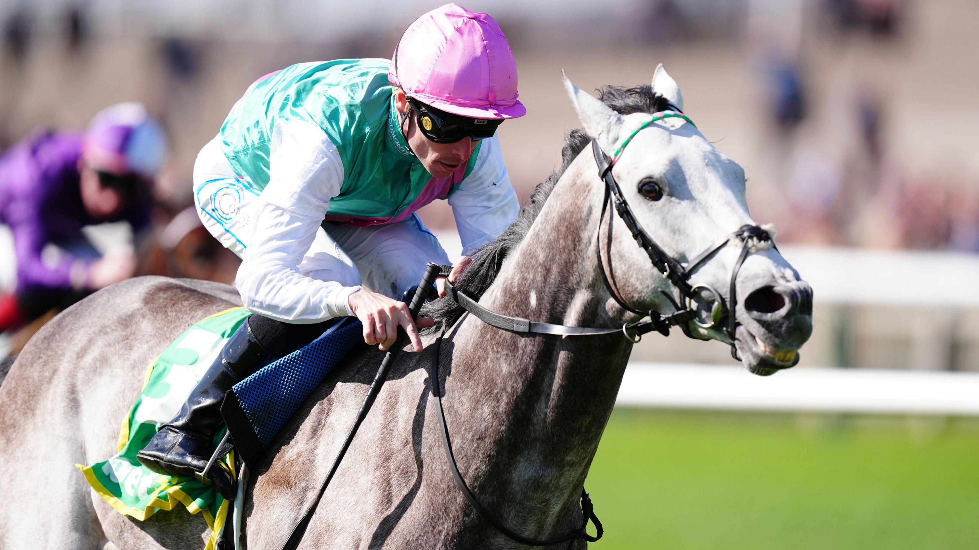 John Gosden Aims for 2000 Guineas Victory with Field Of Gold: A Comprehensive Preview