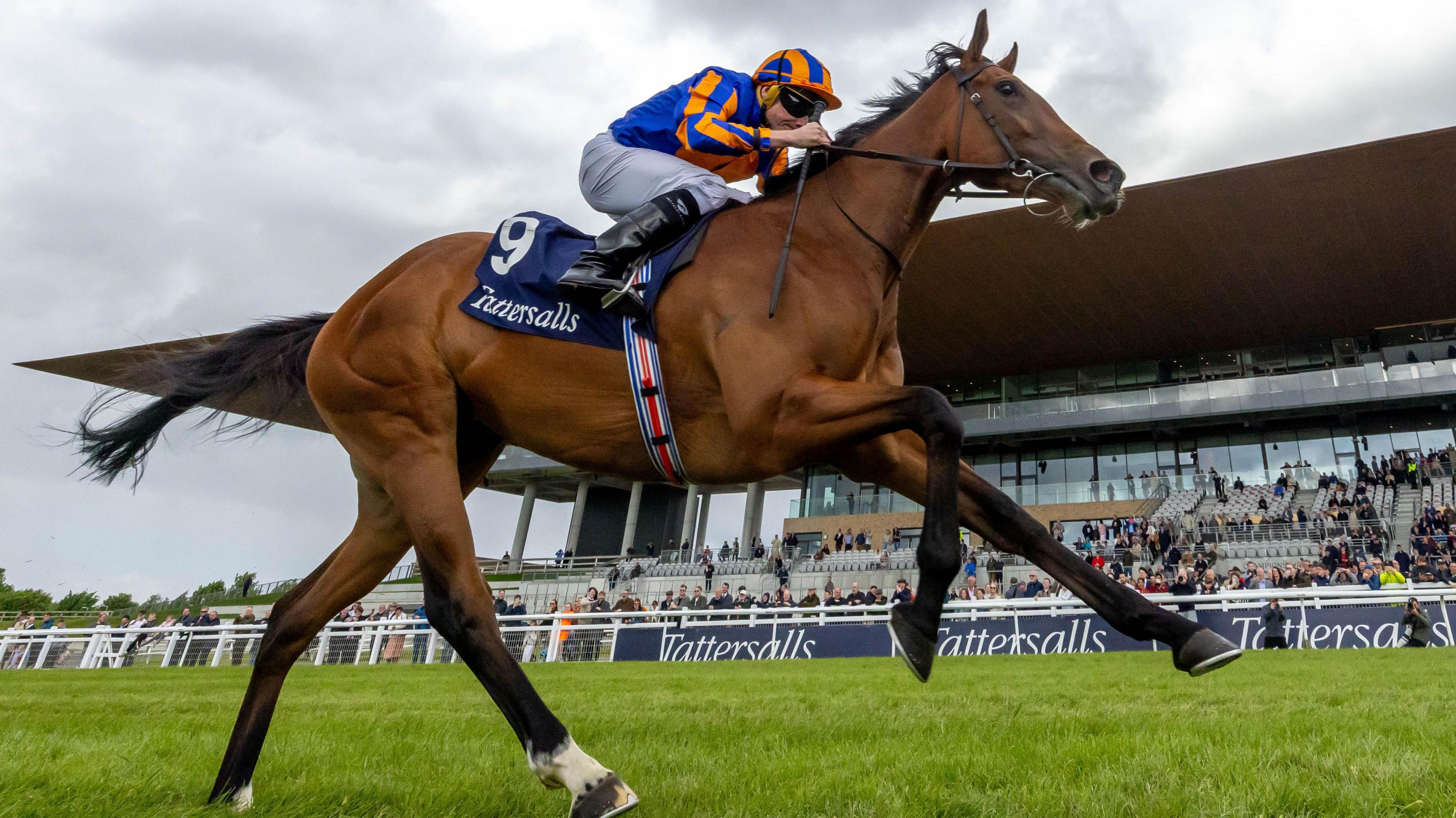 Lake Victoria Triumphs in the Irish 1,000 Guineas: A Stunning Comeback