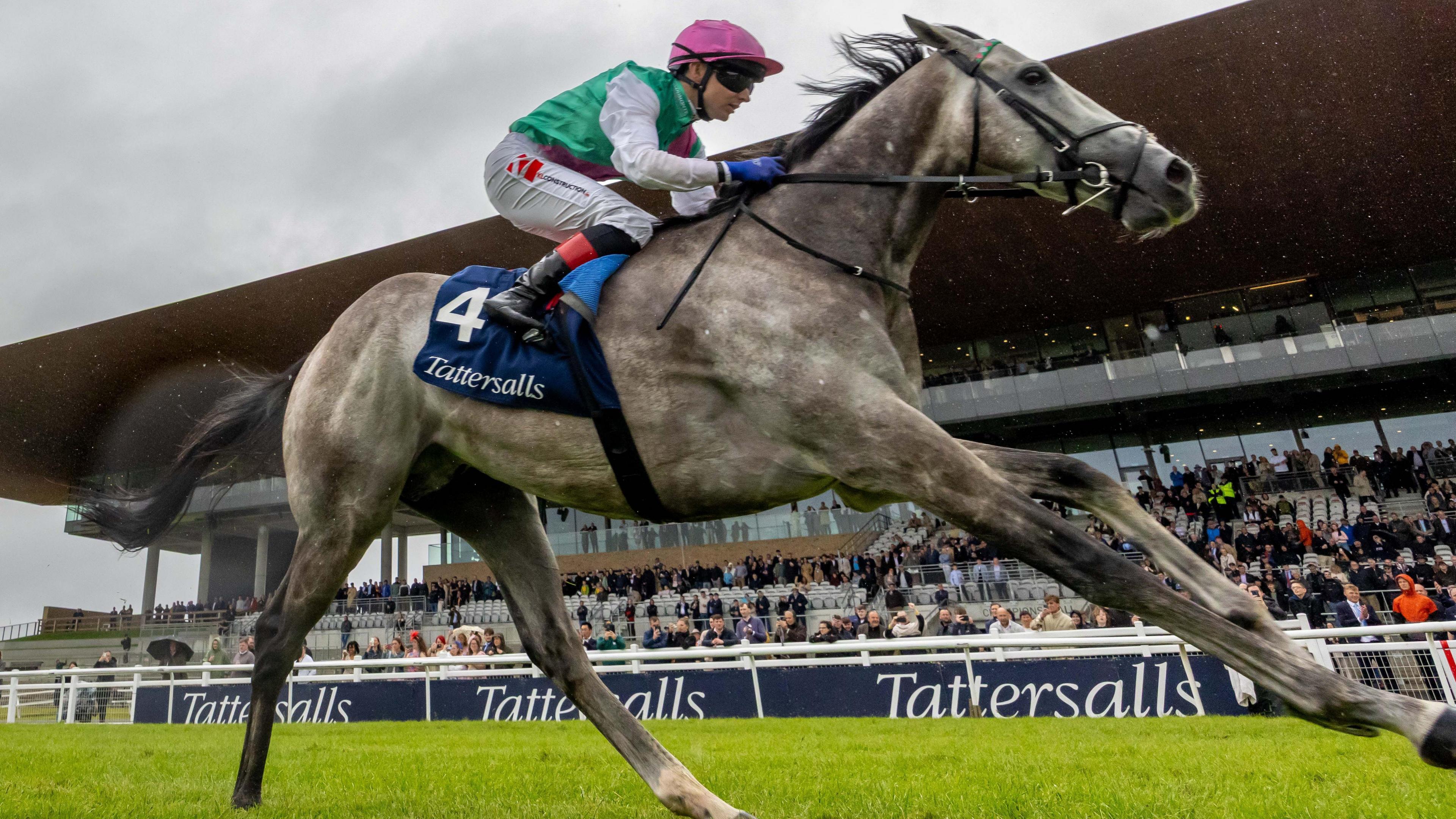 Field of Gold Triumphs in Irish 2,000 Guineas with Stunning Performance