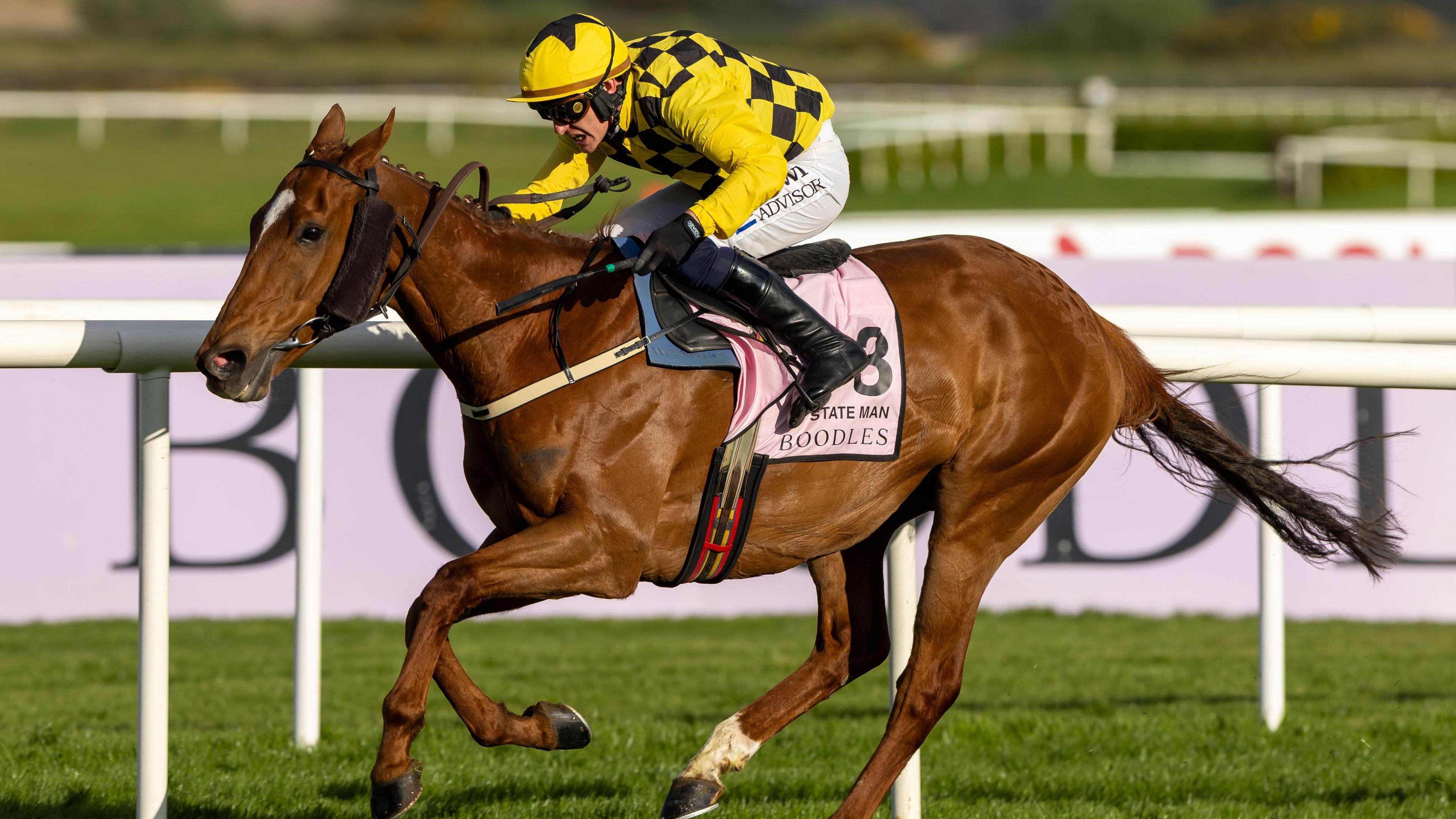 State Man Triumphs Over Constitution Hill in a Thrilling Champion Hurdle at Punchestown Festival