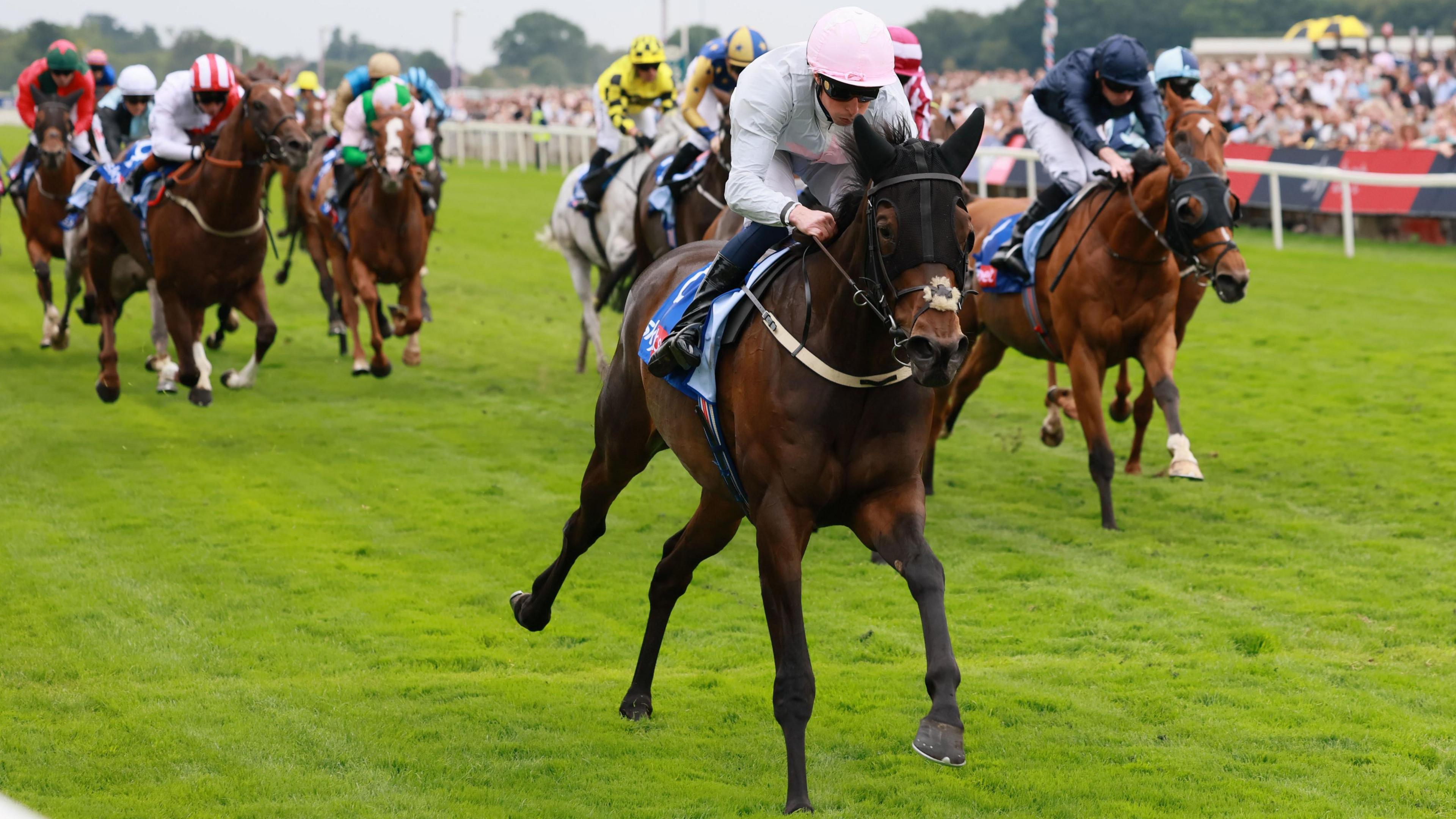 Ethical Diamond Dominates Ebor Handicap: Irish Horses Sweep the Podium at York