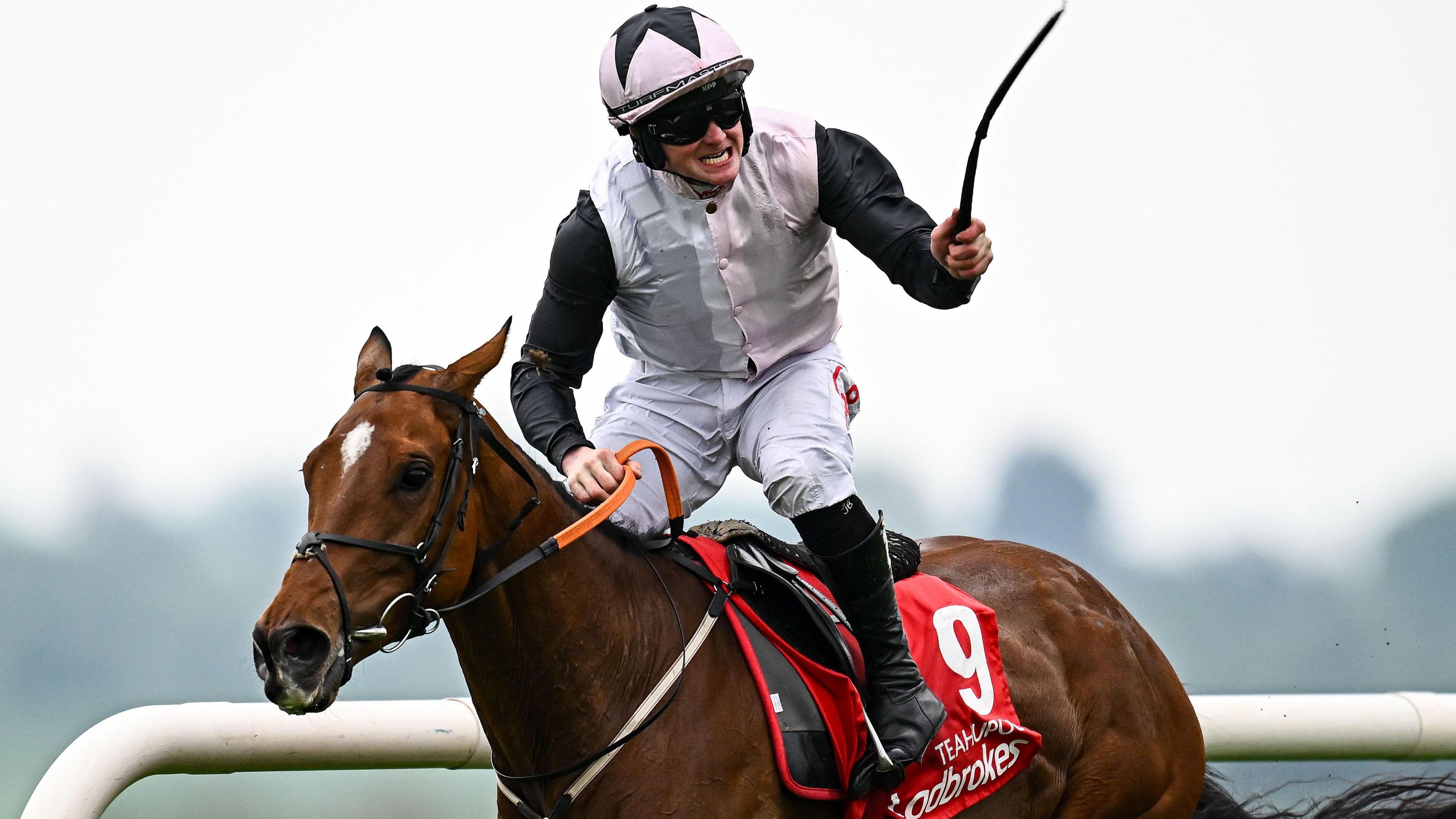 Punchestown Festival 2025: Teahupoo and Majborough Shine in Thrilling Horse Racing Showdown