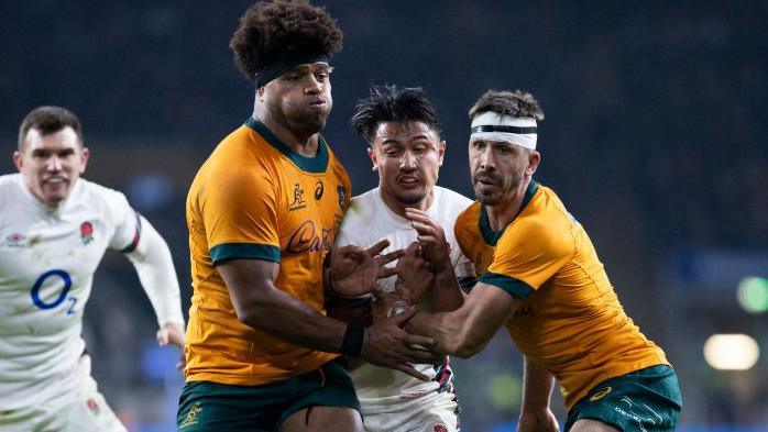 England's Grand Showdown: Wallabies and All Blacks in the 2025 Autumn Nations Series