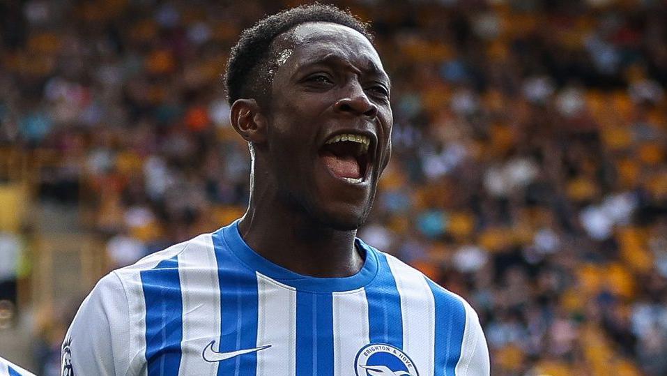 Danny Welbeck's Milestone Season: A Veteran Striker's Triumph in the Premier League