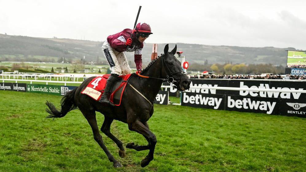 Tragic Loss: Delta Work, Three-Time Cheltenham Champion, Dies at 12