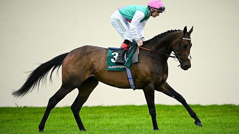 Arc de Triomphe Dreams Shaken: Kalpana's Title Hopes Dim After Kempton Upset