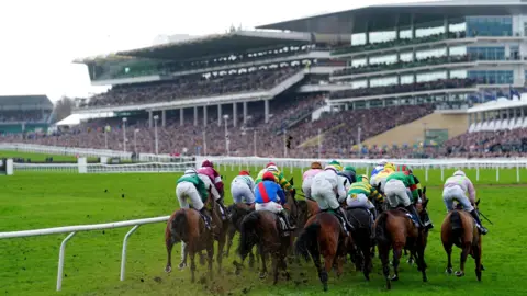 The Ultimate Guide to Cheltenham Festival 2025: Schedule, Travel, and Insider Tips